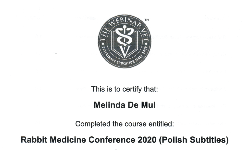 Rabbit Medicine Conference